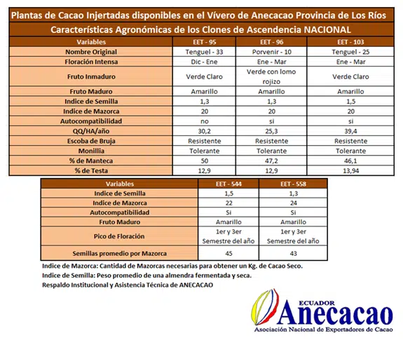 Características Agronómicas Plantas De Ascendencia “Nacional”