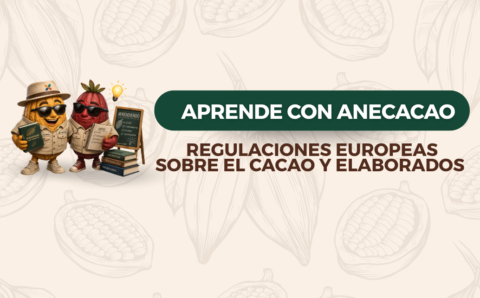 Diseño sin título (6)