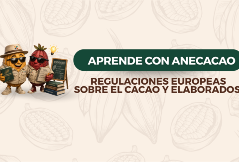 Diseño sin título (6)